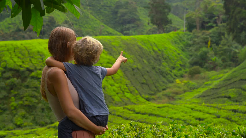 young woman and her son visiting a highlands tea plantations. Fresh, tea concept