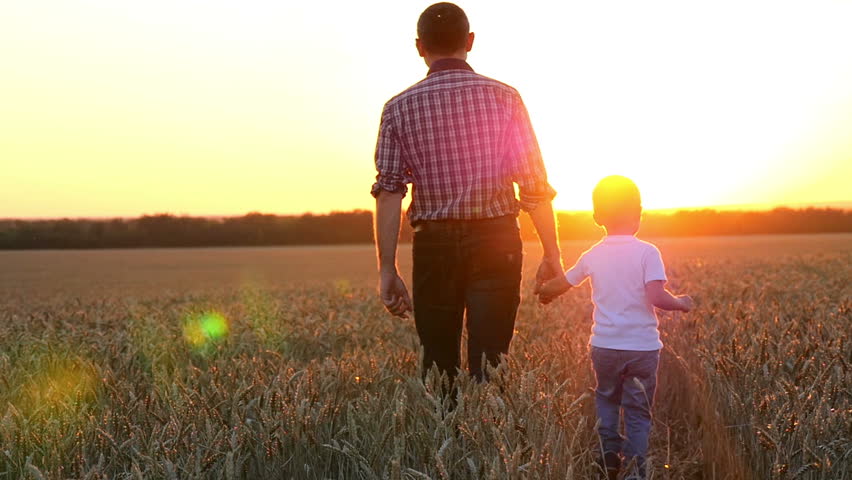 Happy father leads his little son on a wheat field to meet the sunset. Royalty-Free Stock Footage #1015126024