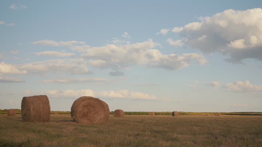 Beautiful Summer Farm Scenery with Haystacks. Field Landscape with Rolls and Sky. Agriculture Concept.
