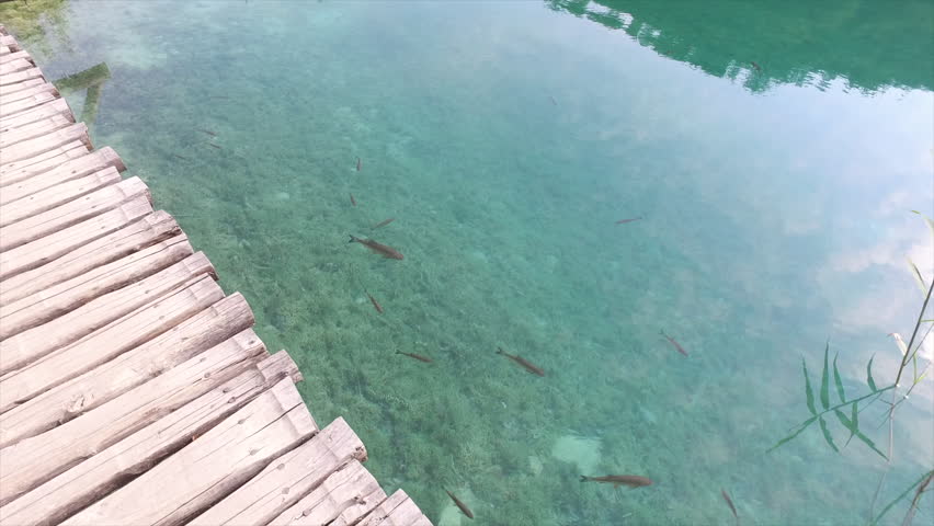 walking along boardwalk beside the crystal clear waters of Plitvice Lakes National Park, Croatia.