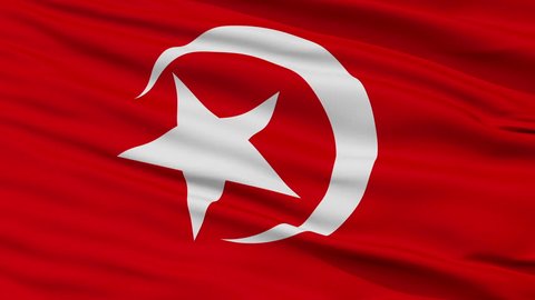 Nation Of Islam Flag, Closeup View Realistic Animation Seamless Loop - 10 Seconds Long