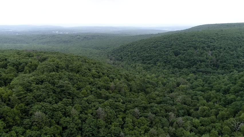 Northern Pennsylvania Forest over Valley