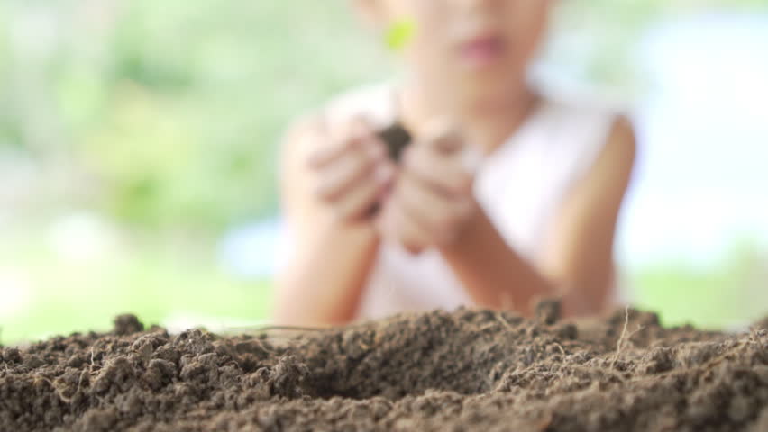 Close up of little girl hands was carrying of new seedlings to be planting into the soil. Slow motion Royalty-Free Stock Footage #1015170910