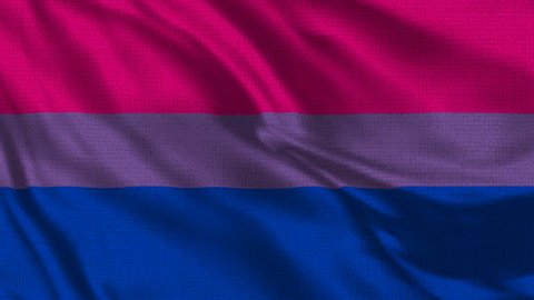Bisexual Flag  - Realistic 4K - 60 fps flag waving in the wind. Seamless loop with highly detailed fabric texture. Loop ready in 4K resolution