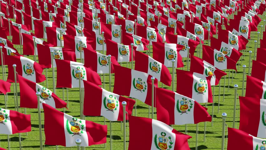 Many flags of Peru in green field. Three dimensional rendering 3d animation.