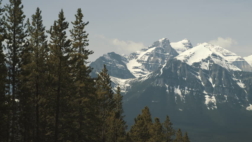 4K Mountains covered by snow in Lake Louise Ski Resort - Trees in foreground, moving, smooth shot - Banff, Alberta