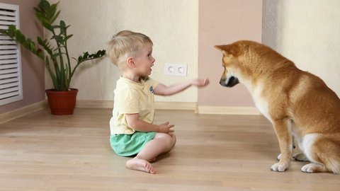 Shutterstock