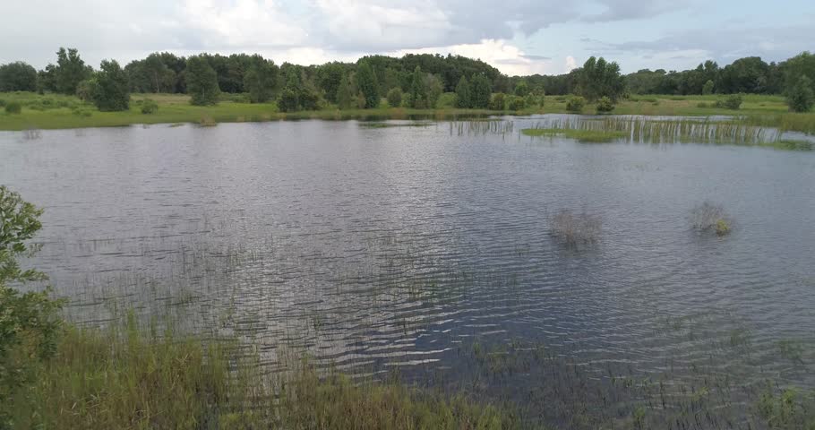 Aerial view surveys a calm lake bordered by reeds, grassy banks, scattered trees, and open countryside beneath cloudy skies, 2018.