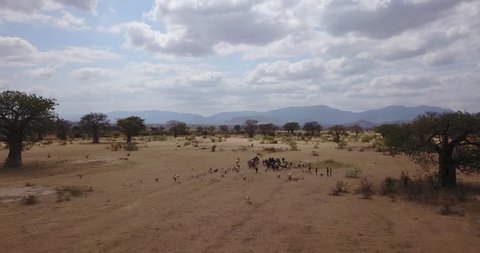 Aerial drone African landscape view in Savanna Dodoma Tanzania Africa