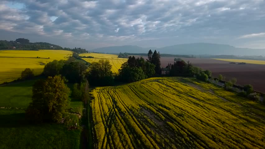 Aerial shot of landscape with colourful rape fields and soft light of the morning.