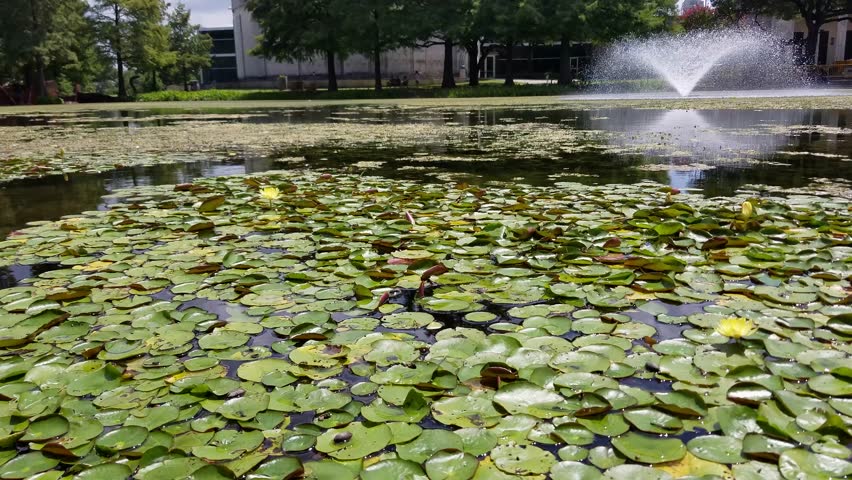 Fair Park, Dallas, Tx