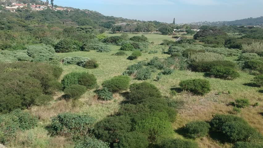 Slow forward aerial footage of trees and landscape approaching homes located on lush hillsides outside of Durban, South Africa.