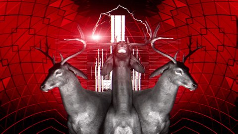 Awesome VJ loop with dubstep shining deers shaking heads and sharing wild animal energy. This VJ loop is a great choise for your stage performances, techno raves, unique events and parties 