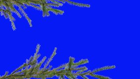branches of a coniferous tree on the edges of the screen, overlay in the editor in one click