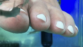 video of female foot massage with fish in aquarium, close-up