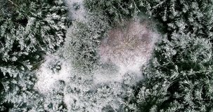 aerial drone footage, lifting up over a snowy cold winter forest wit light white frozen trees