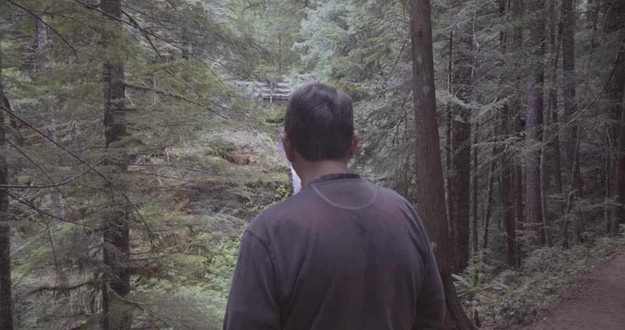 Man looking out over waterfall in the Pacific Northwest.
