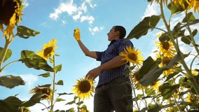 man farmer holding in hand a plastic bottle sunflower oil stands in the field lifestyle. slow motion video. sunflower oil production and research agriculture farming. large sunflowers against the blue