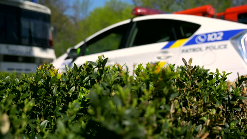  Emergency Vehicles. Police Car. Fire Truck. Green Leaves Boxwood. Spring Summer Sunny Day. 