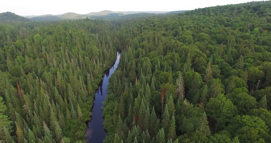 Aerial Flight Over Wilderness River Landcape