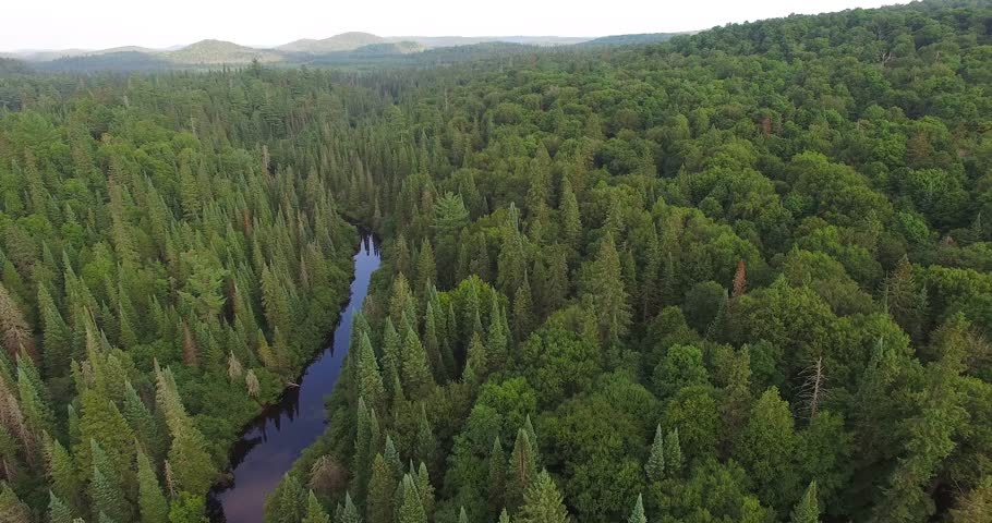 Aerial Flight Over Wilderness River Landcape