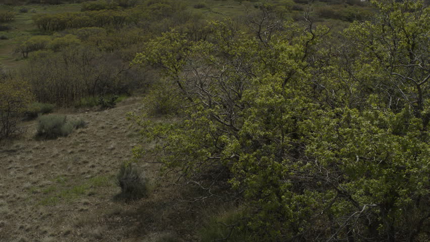 Aerial view of people riding mountain bikes on winding trail / Cedar Hills, Utah, United States