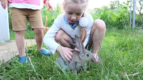 Children playing with little rabbit in a lawn. Friendship between children and pets