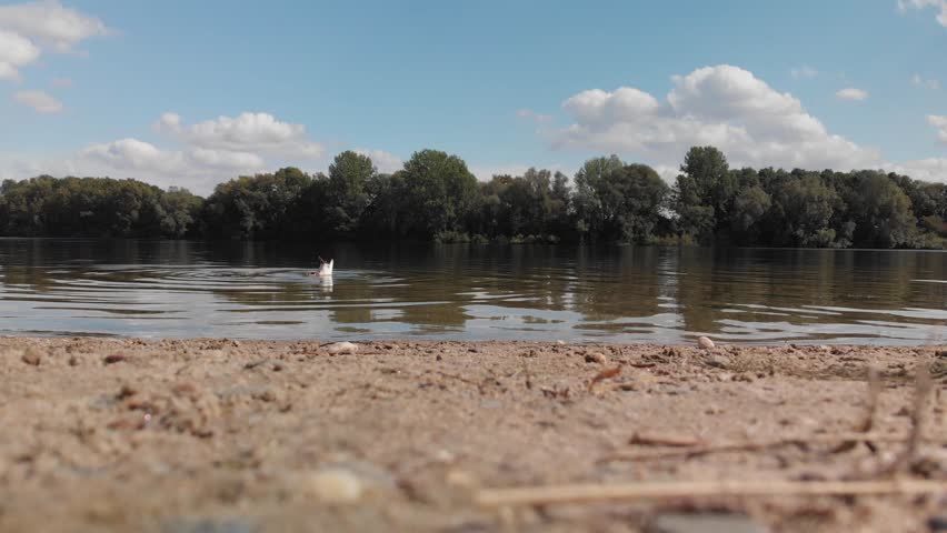 Flight from the shore of the lake to the other shore side