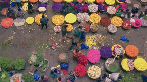 KR flower market sellers at basement timelapse clip, India