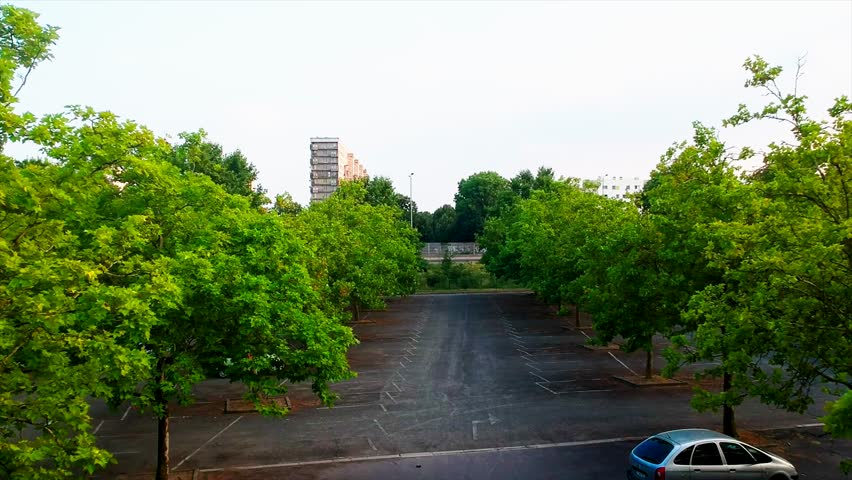 Forest parking close to the highway
