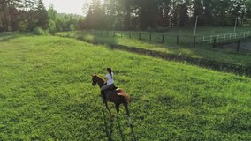 Attractive woman riding trotting on a brown horse on a meadow at a summer day. Slow motion