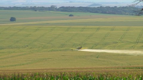 Long take of a crop duster over cornfield, maneuvers of round trip