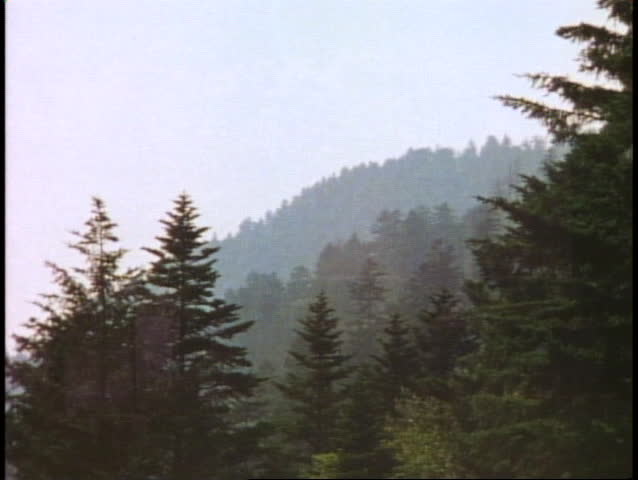 GREAT SMOKY MOUNTAINS NATIONAL PARK, TENNESSEE, 1978, misty, green, foggy smoky