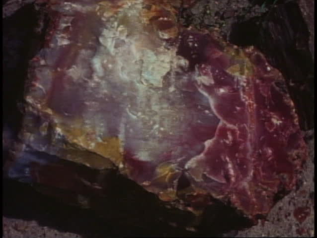 PETRIFIED FOREST NATIONAL PARK, ARIZONA, 1978, stone log, agate color jewel-like