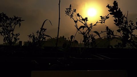 Epic time lapse of the clouds on a balcony decorated with flowers during sunrise with the beautiful sunlight