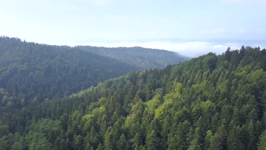 Beautiful aerial shot of green hills and valleys. Nature of Bieszczady Mountains seen from above.