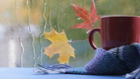 video footage red mug in blue scarf on background of autumn rain outside the window / warming home atmosphere