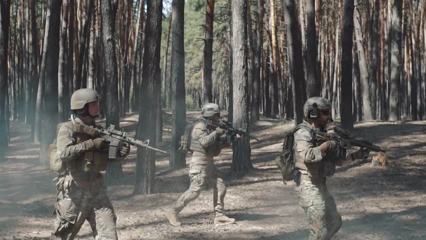 Squad Walking in Formation Through a Pines Forest