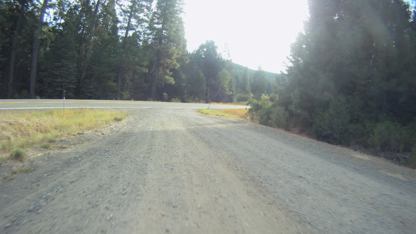 Time-Lapse: Road Full of Pine Trees: Humboldt County
