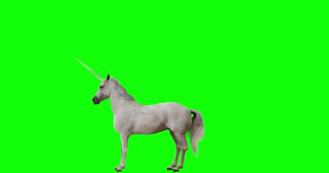 Unicorn rearing. Isolated animation. Green Screen