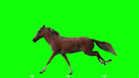 Red horse jumping. Isolated and cyclic animation. Green Screen.
