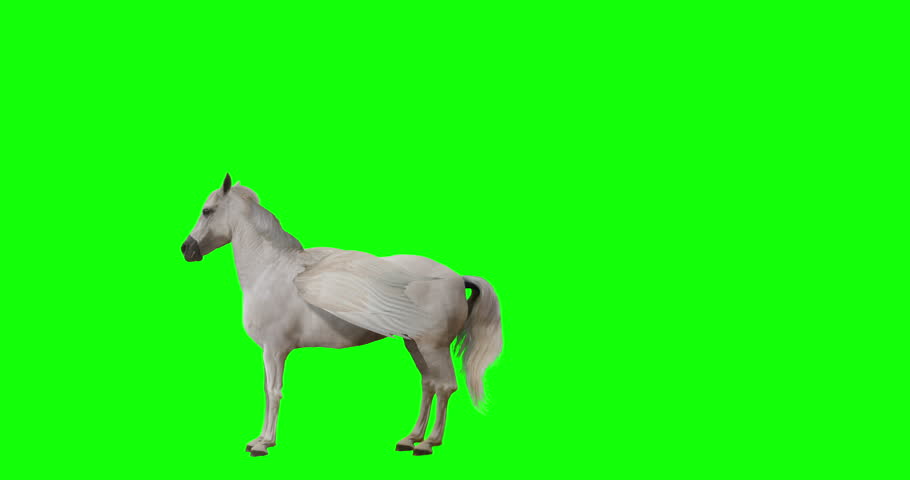 Pegasus and winged Unicorn flying on a transparent background. Isolated and cyclic animation. Seamless loop. Green Screen