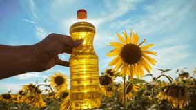 slow motion video. Man farmer hand hold bottle of sunflower oil the field at sunset. . man farmer agriculture plastic bottle oil sunflower concept. 