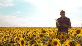 man farmer exploring the field with sunflowers. slow motion video. lifestyle Man farmer hand hold bottle of sunflower 