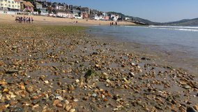 Low angle slide shot of beach in Lyme Regis at low tide, Dorset