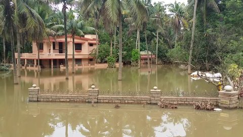 KERALA, INDIA - AUGUST 19, 2018: Flood disaster house submerged in water in Kochi. 