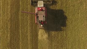 aerial view. the combine goes through the field. Combine harvester. d-log color. aerial video.