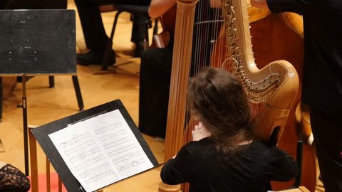 Rear view of young female musician playing the harp in symphony orchestra, Full HD shot
