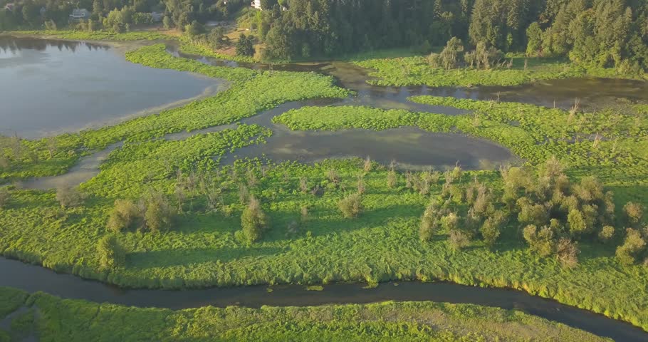 Salmon Creek Greenway located in NW Vancouver Washington hazeldell area 