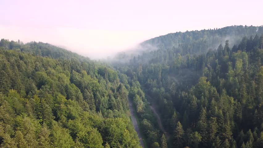 Beautiful aerial shot of green hills and valleys. Nature of Bieszczady Mountains seen from above.